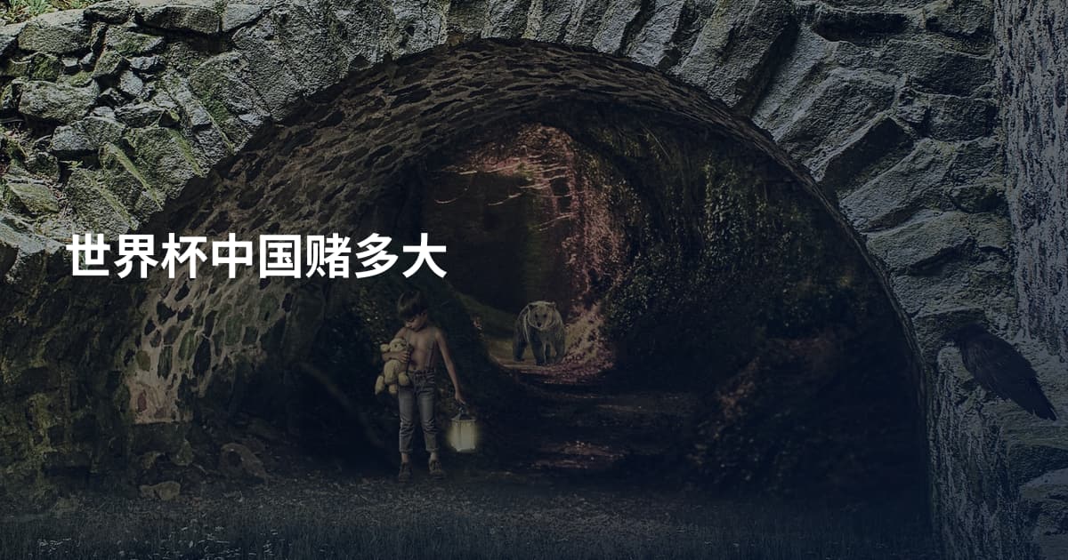 世界杯中国赌多大
