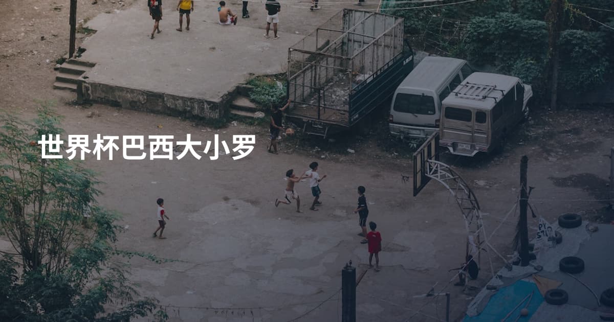 世界杯巴西大小罗
