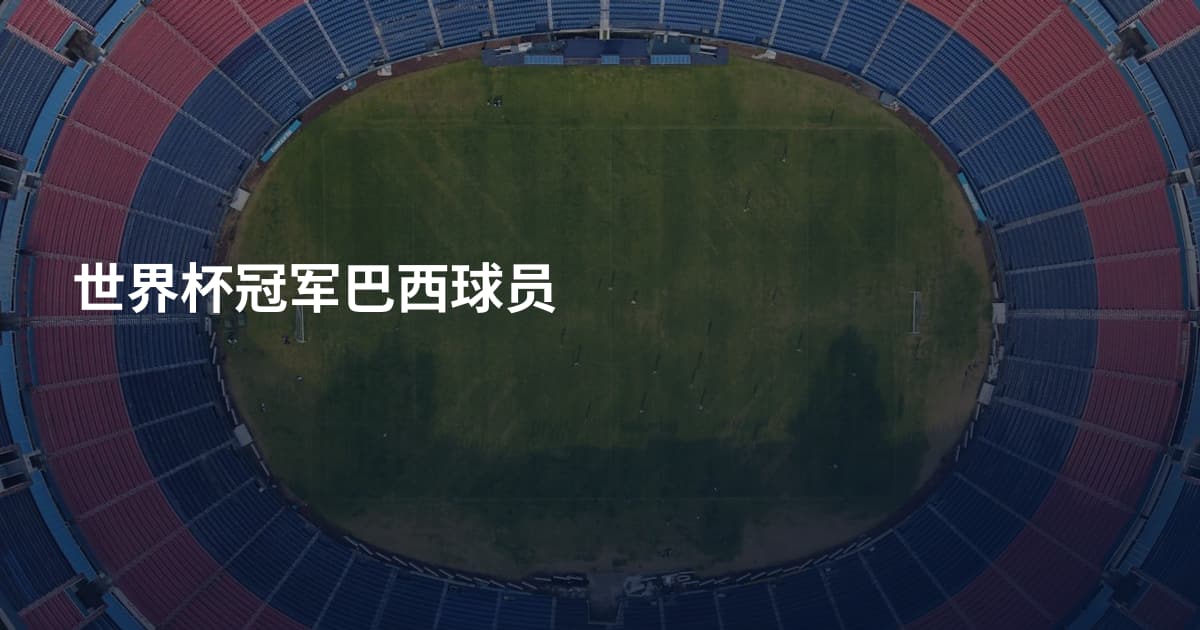 世界杯冠军巴西球员