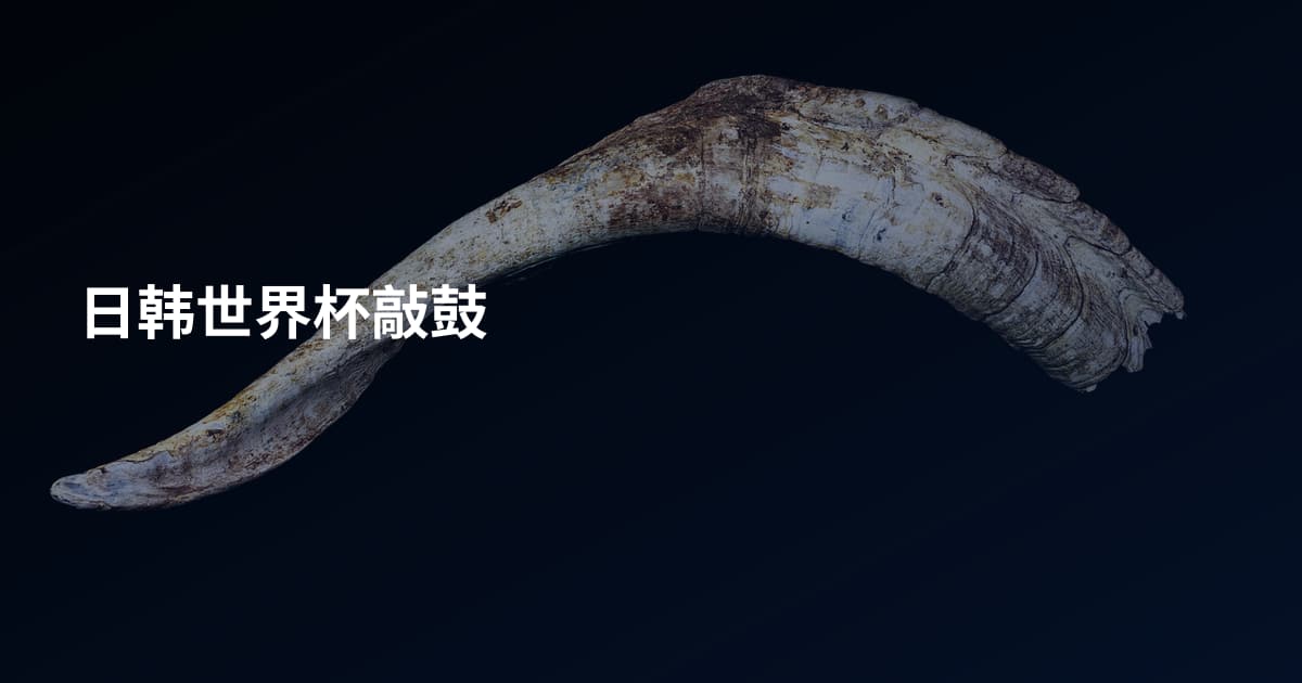 日韩世界杯敲鼓