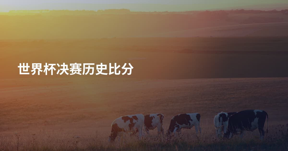 世界杯决赛历史比分