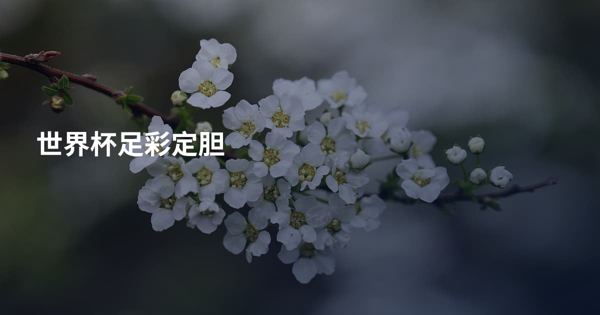 世界杯足彩定胆