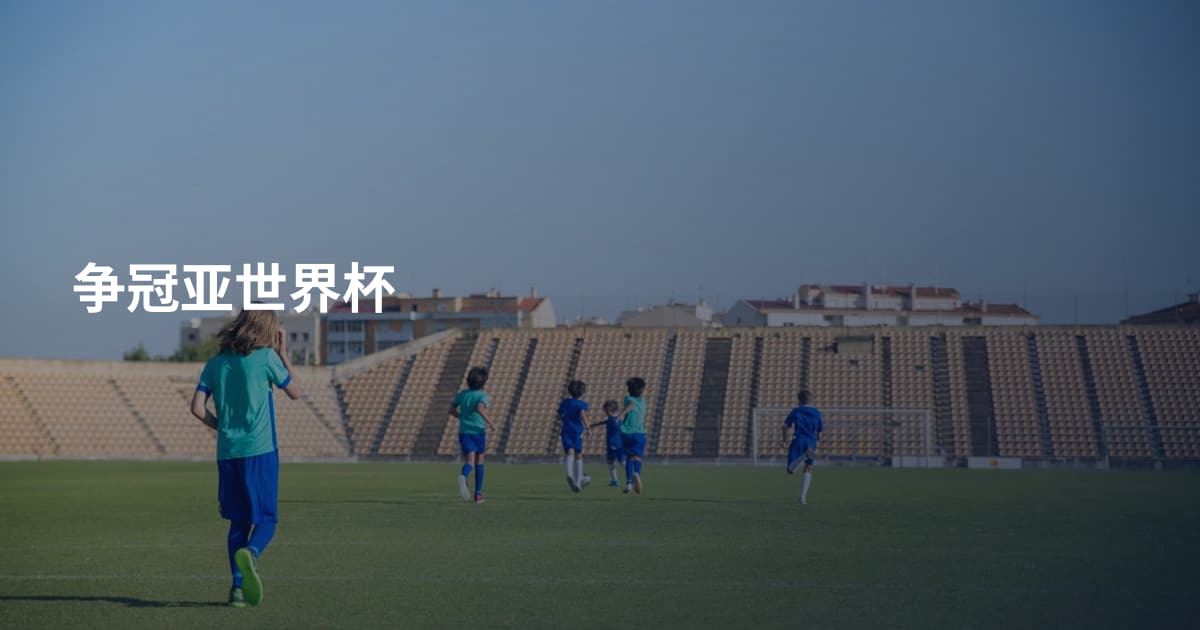 争冠亚世界杯