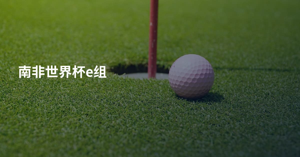 南非世界杯e组
