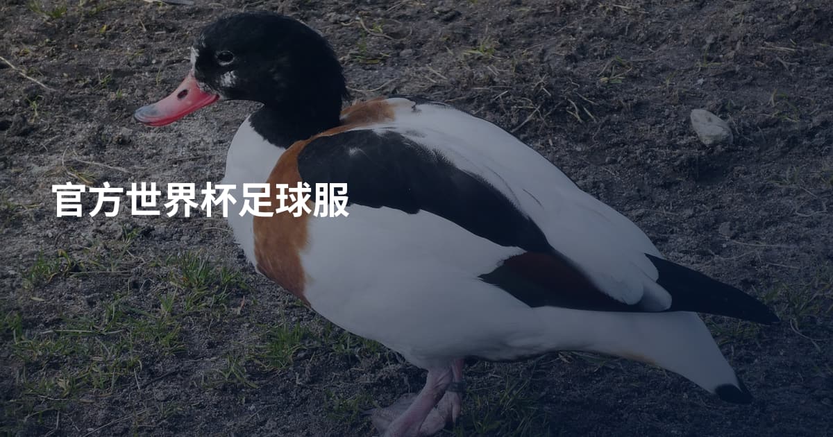 官方世界杯足球服