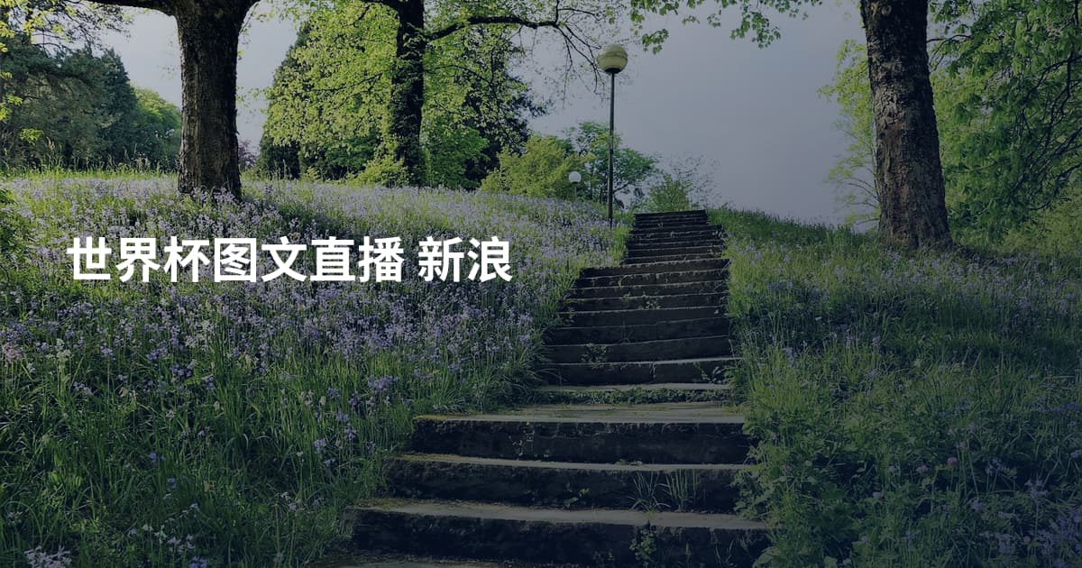 世界杯图文直播 新浪