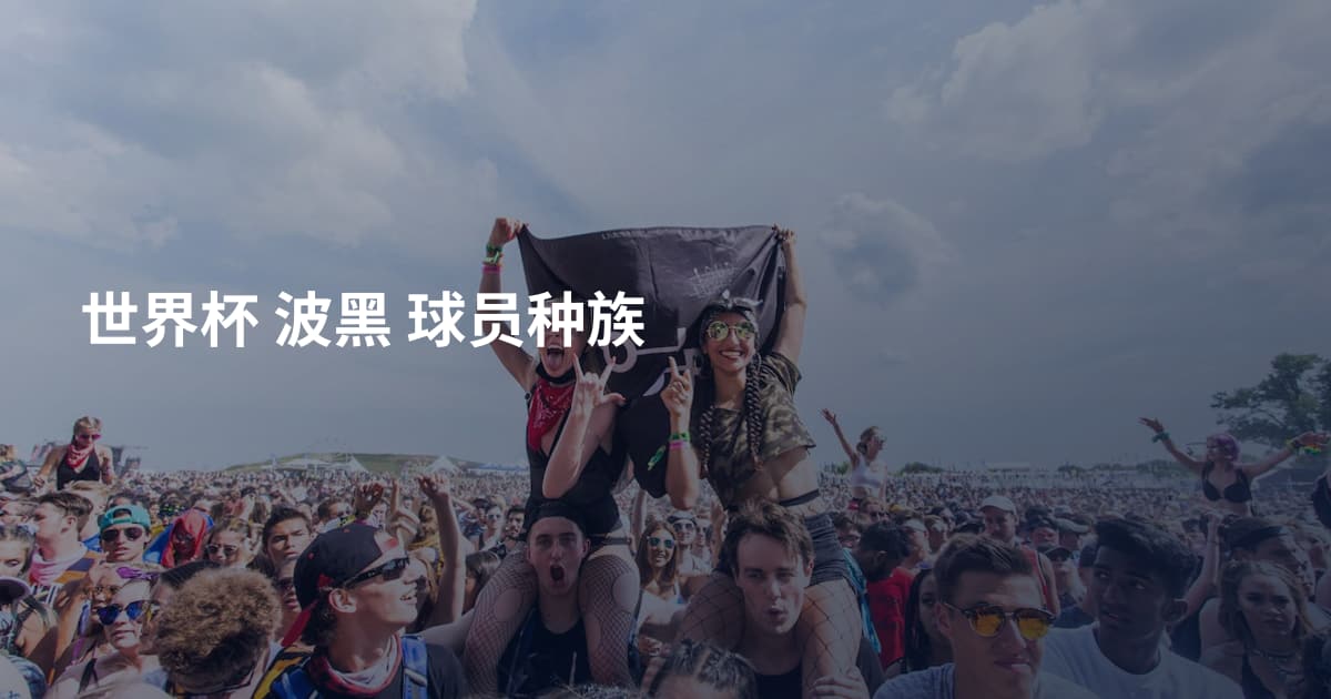 世界杯 波黑 球员种族
