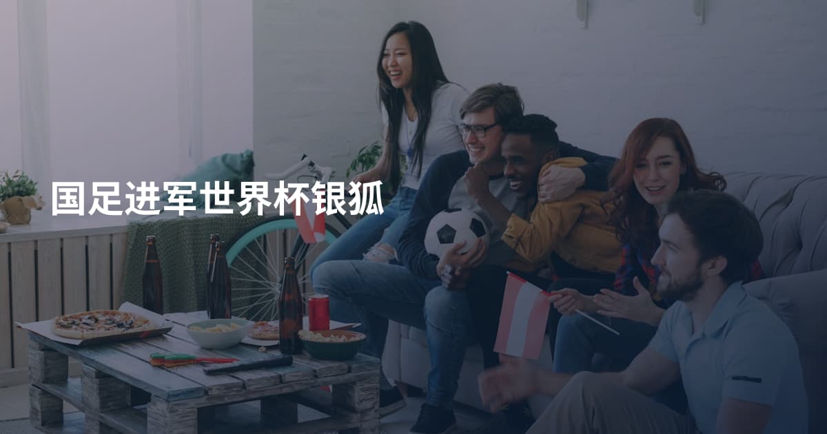 国足进军世界杯银狐