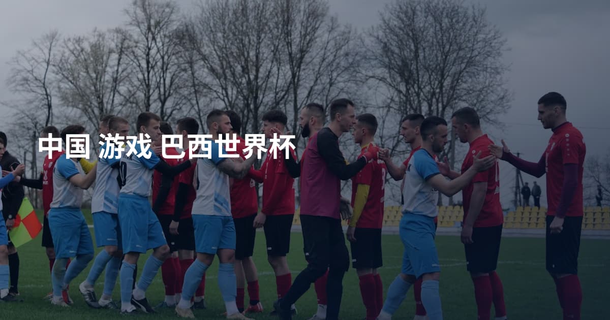中国 游戏 巴西世界杯