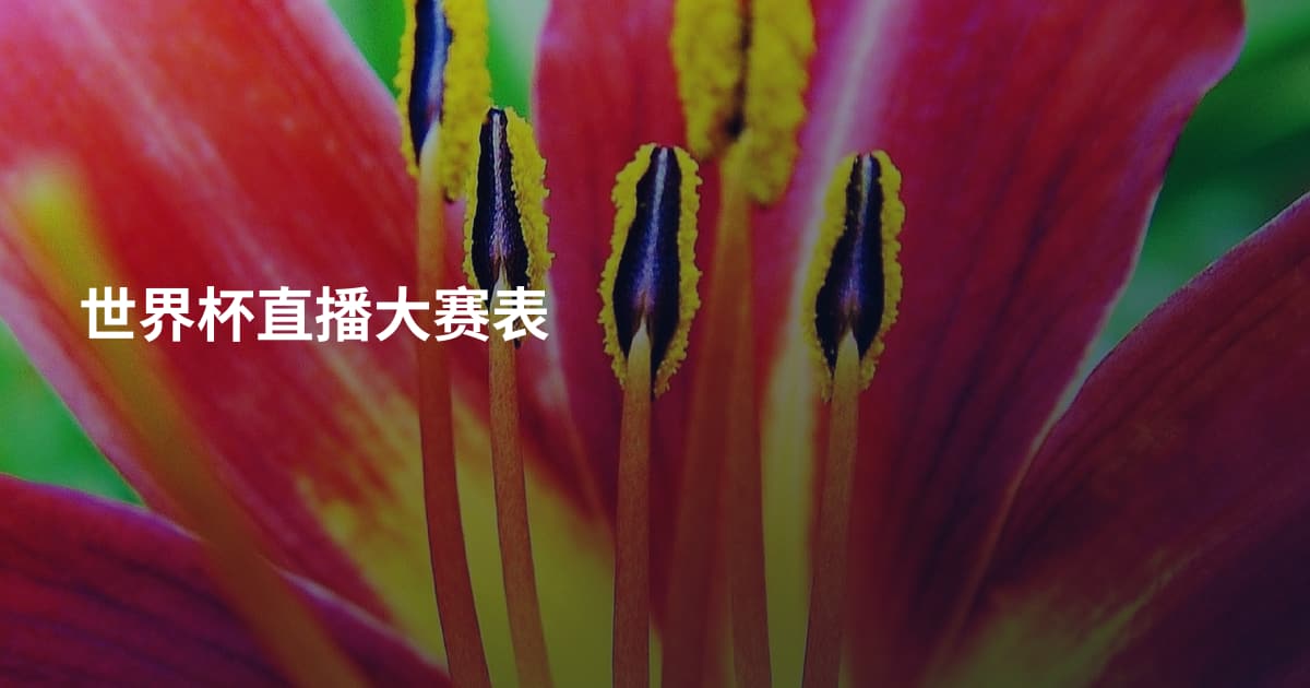 世界杯直播大赛表