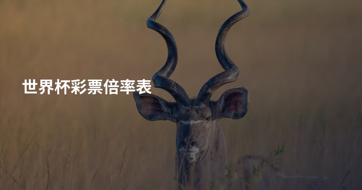 世界杯彩票倍率表