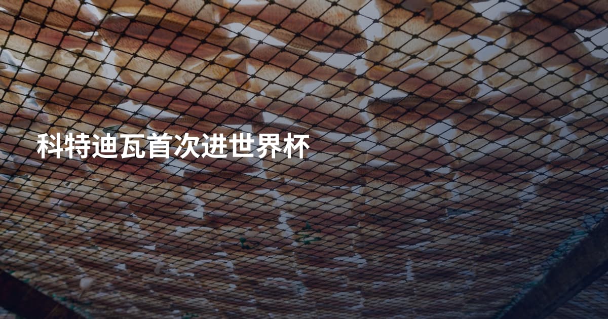 科特迪瓦首次进世界杯