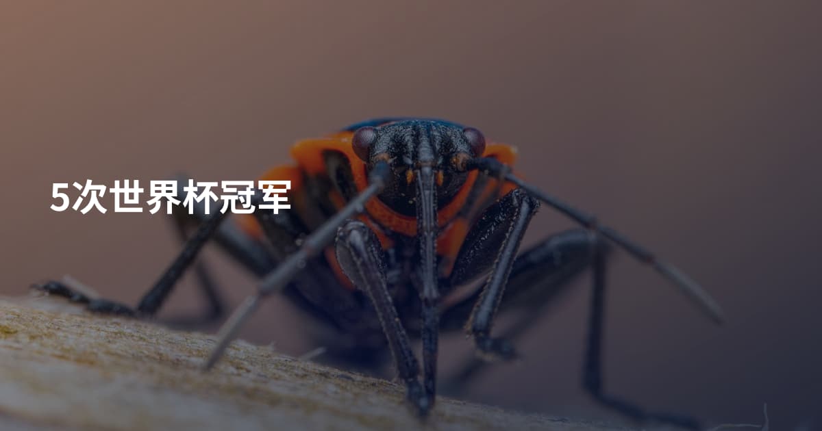 5次世界杯冠军
