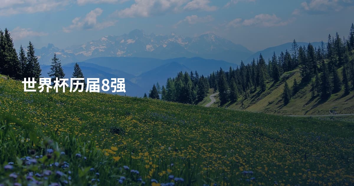 世界杯历届8强