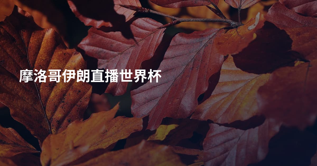 摩洛哥伊朗直播世界杯