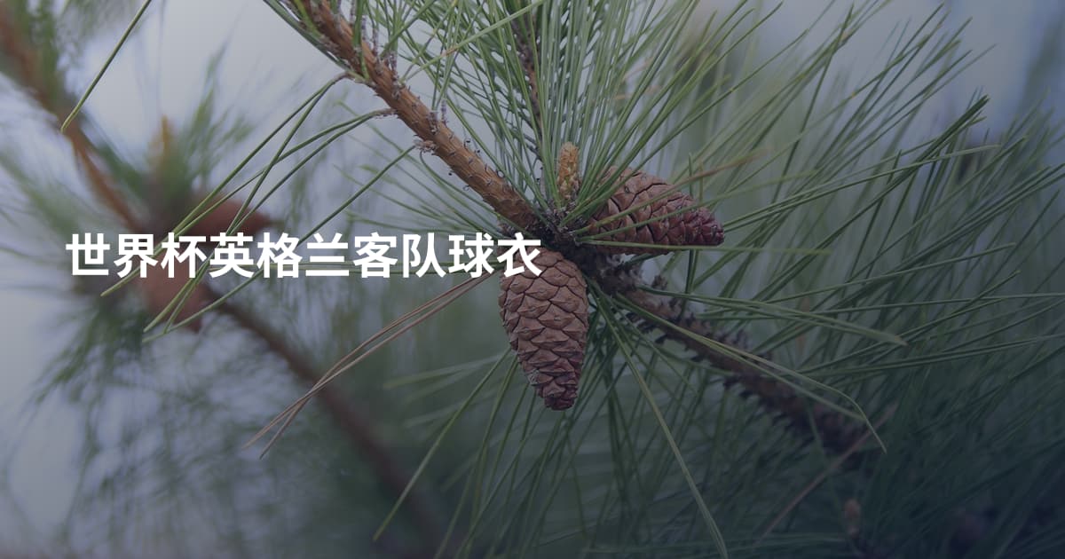 世界杯英格兰客队球衣