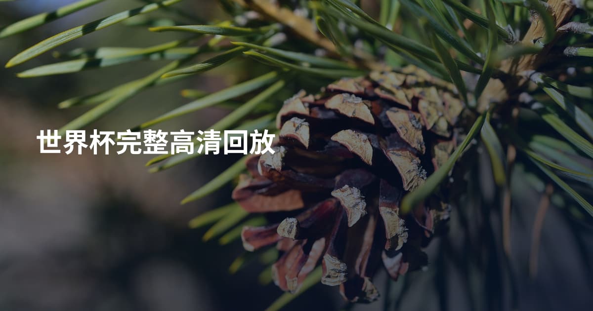 世界杯完整高清回放