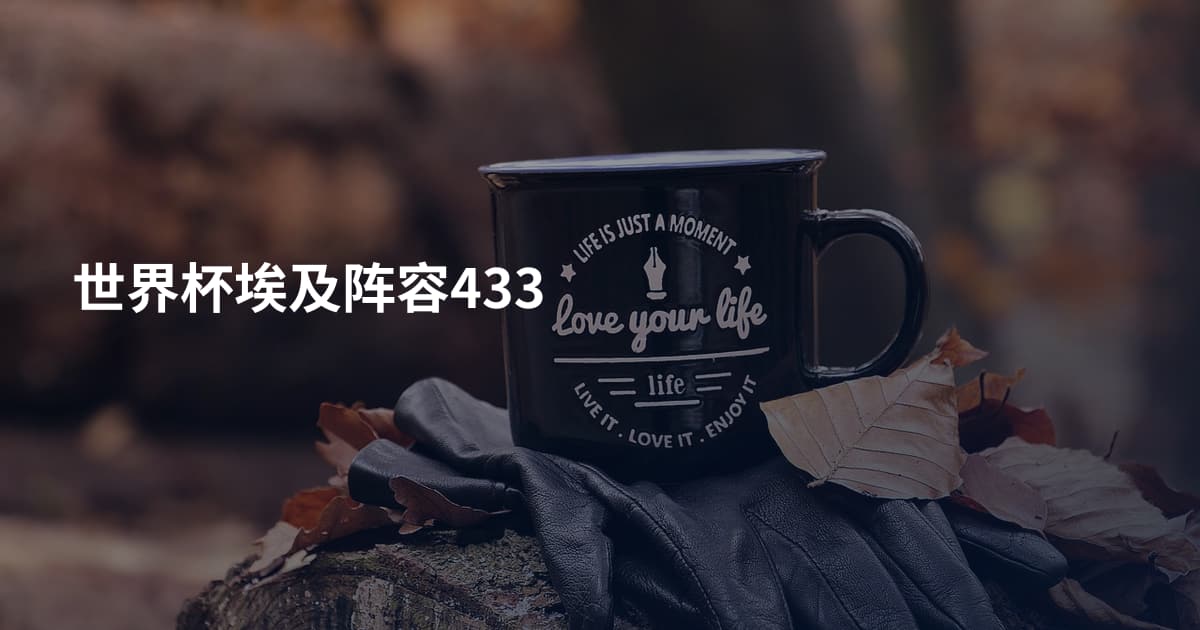 世界杯埃及阵容433