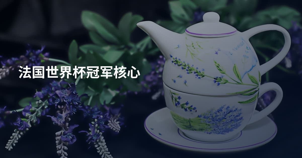 法国世界杯冠军核心