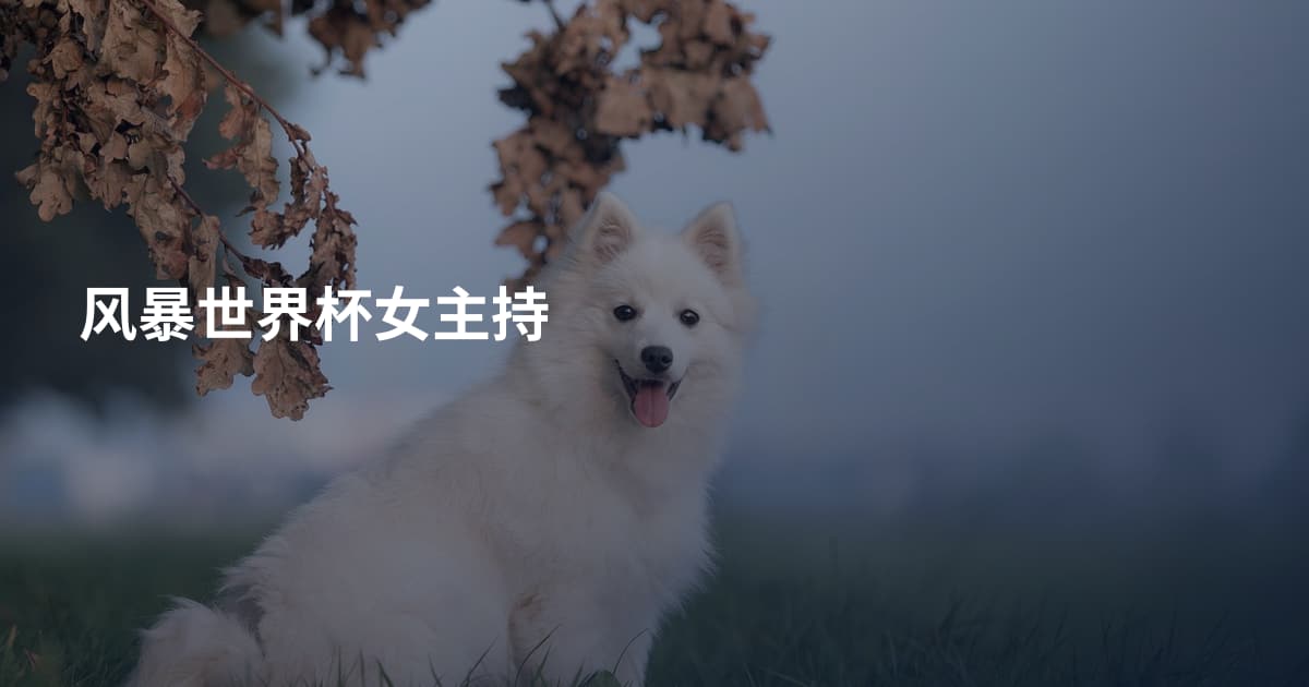风暴世界杯女主持