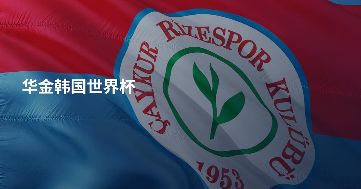 华金韩国世界杯
