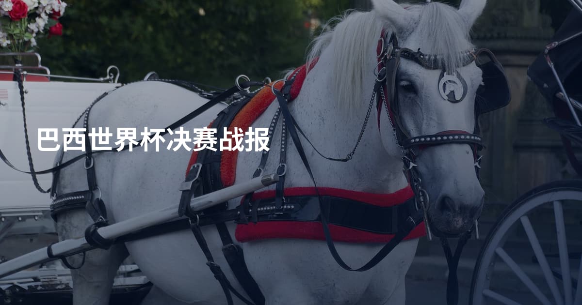 巴西世界杯决赛战报
