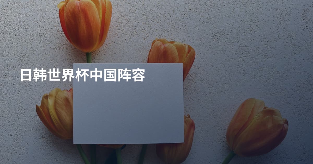 日韩世界杯中国阵容