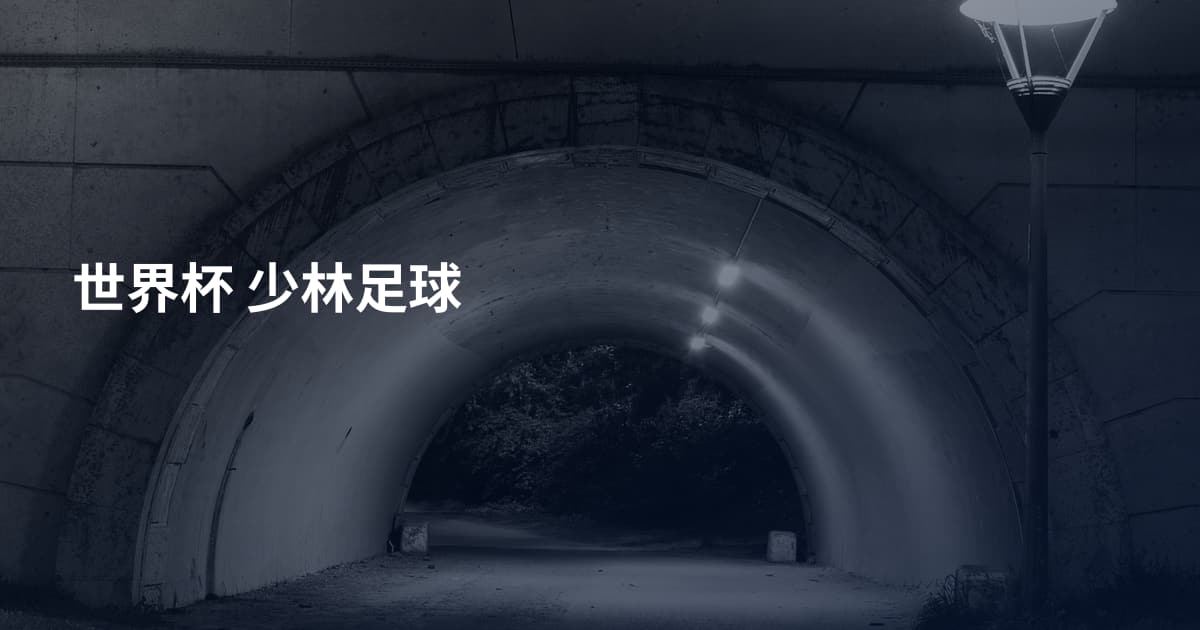 世界杯 少林足球