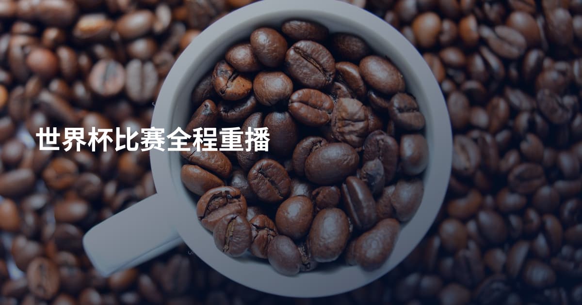 世界杯比赛全程重播