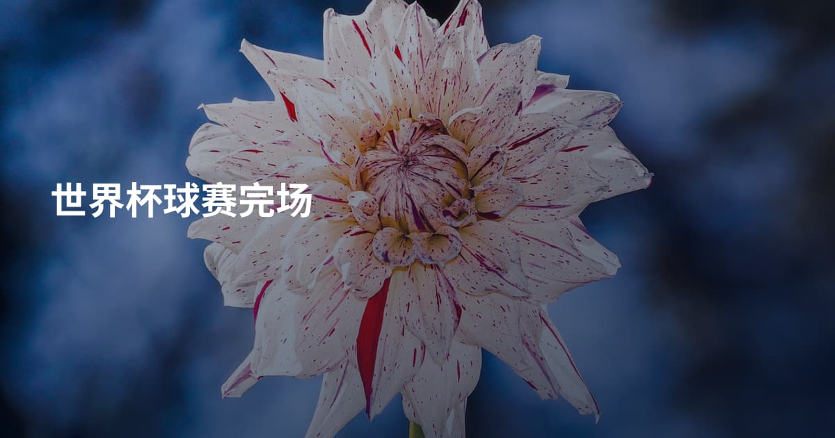 世界杯球赛完场