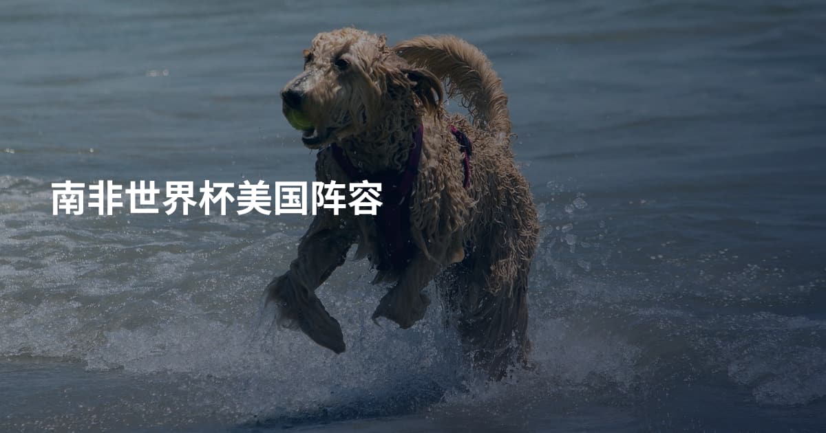 南非世界杯美国阵容