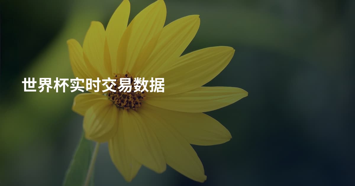世界杯实时交易数据