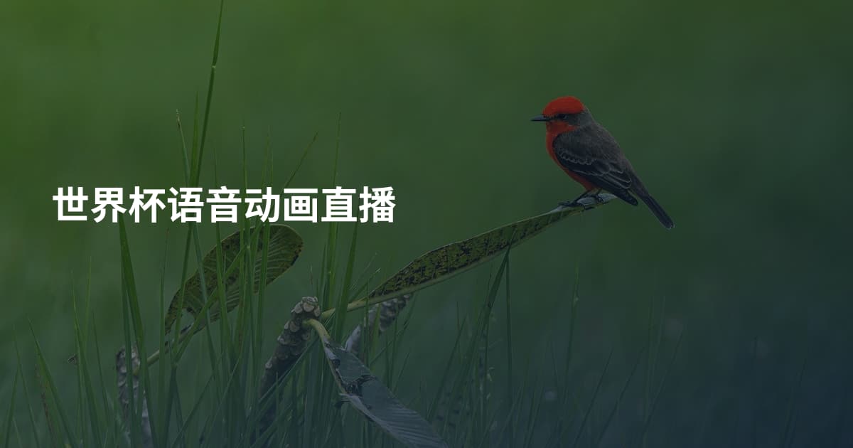 世界杯语音动画直播