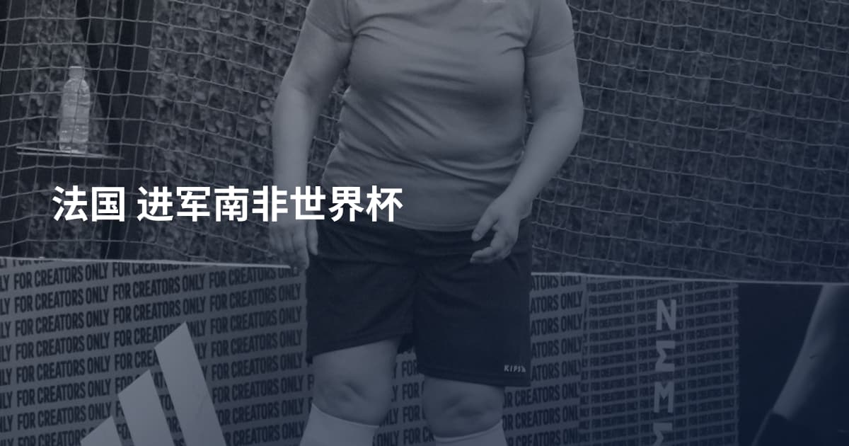 法国 进军南非世界杯
