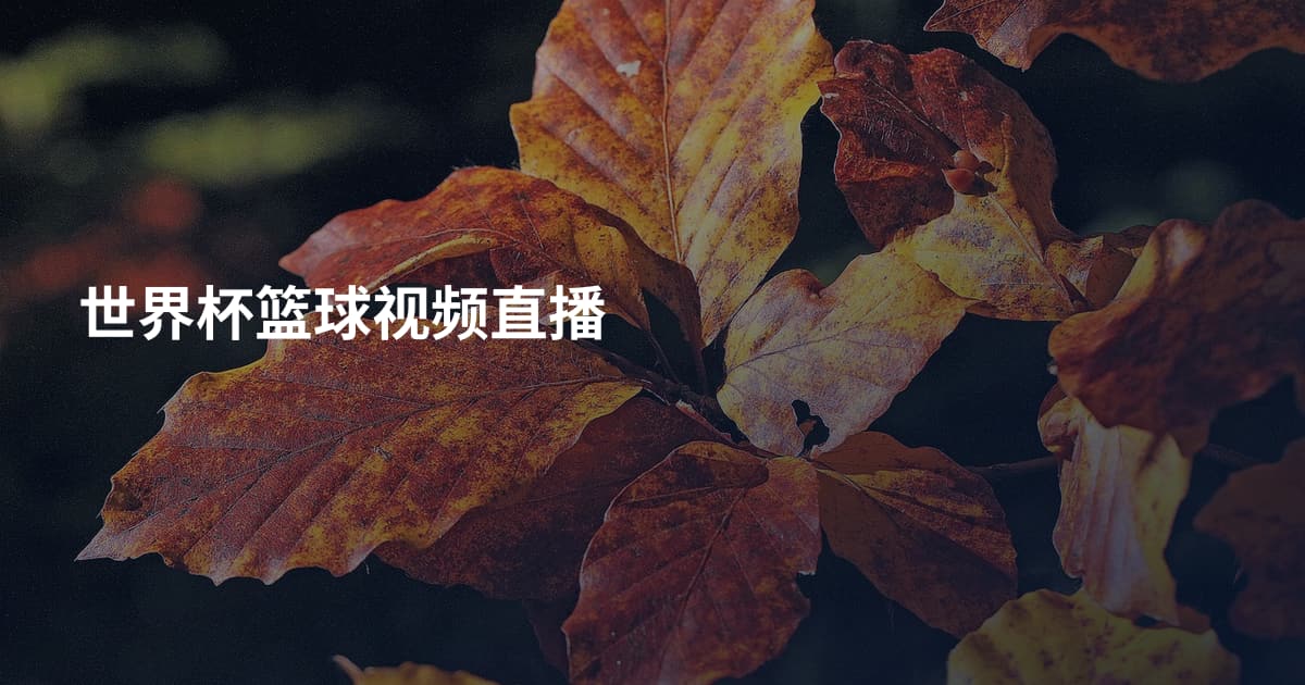 世界杯篮球视频直播
