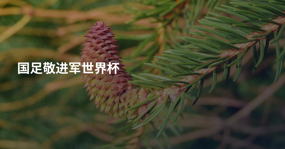 国足敬进军世界杯