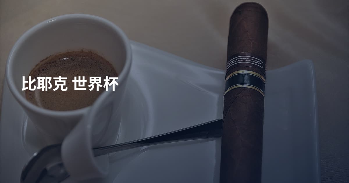 比耶克 世界杯