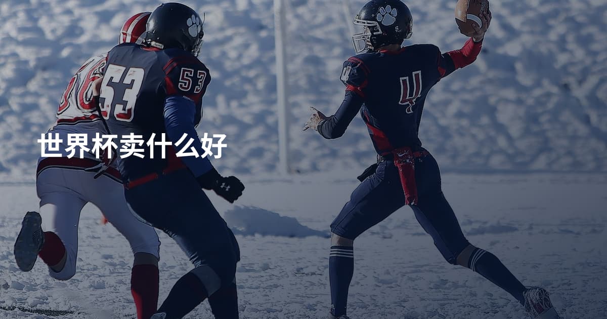 世界杯卖什么好