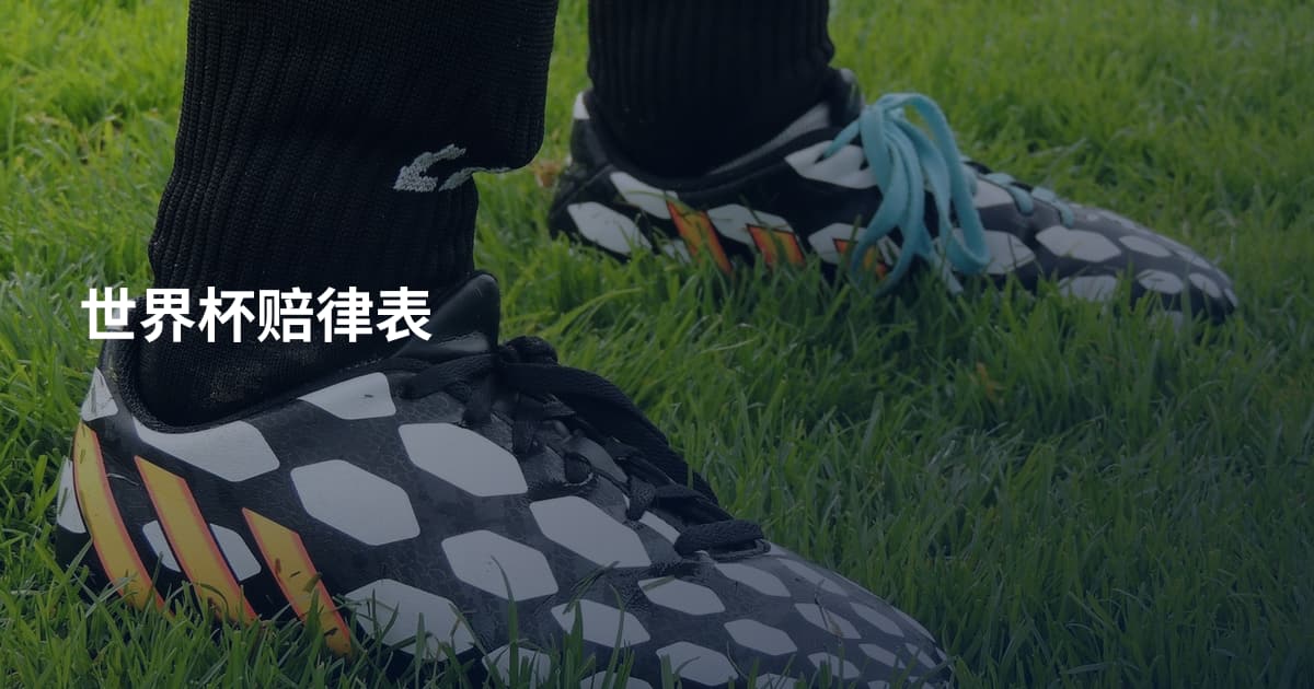 世界杯赔律表