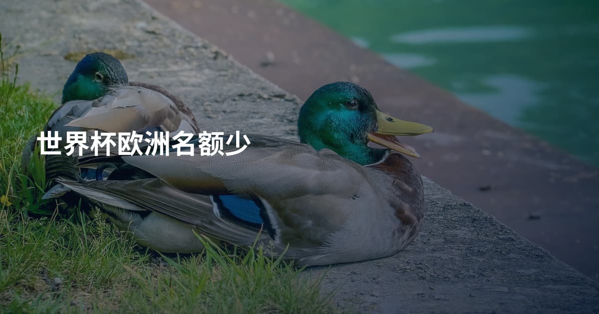 世界杯欧洲名额少