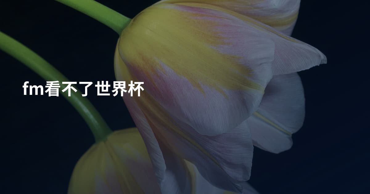 fm看不了世界杯
