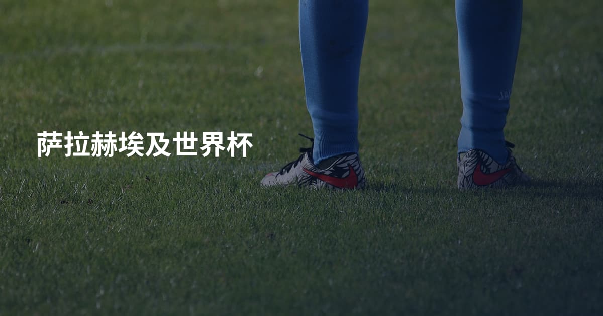 萨拉赫埃及世界杯