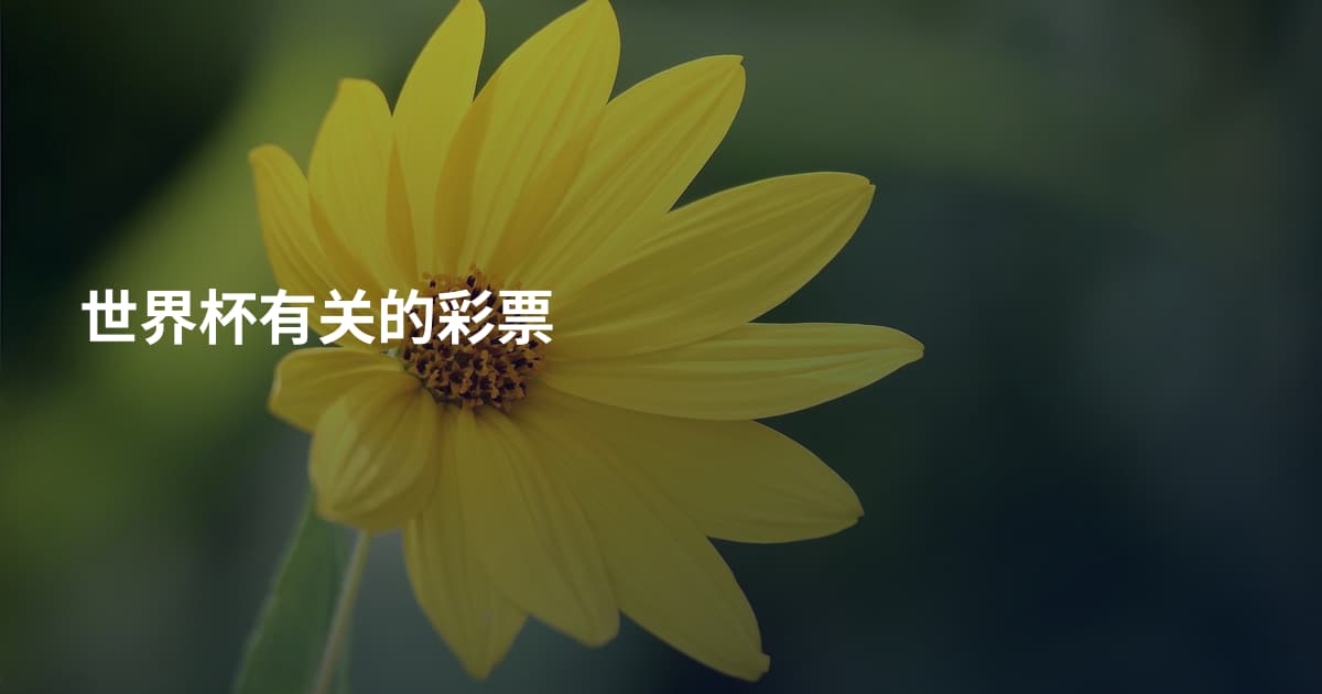 世界杯有关的彩票