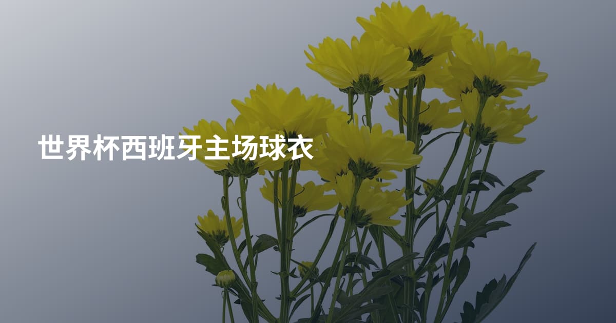 世界杯西班牙主场球衣