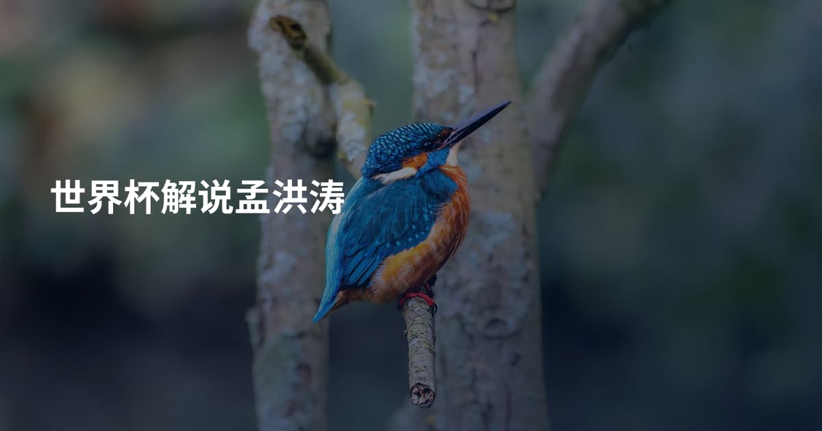 世界杯解说孟洪涛