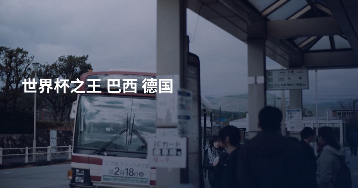 世界杯之王 巴西 德国