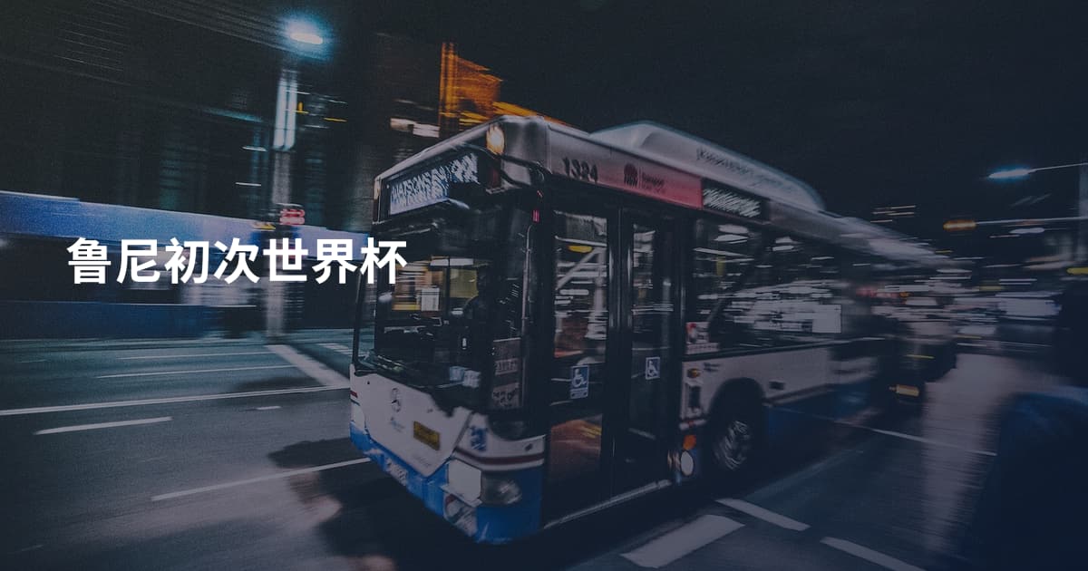 鲁尼初次世界杯
