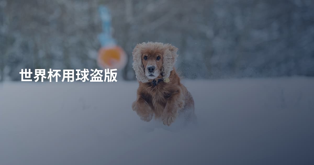 世界杯用球盗版