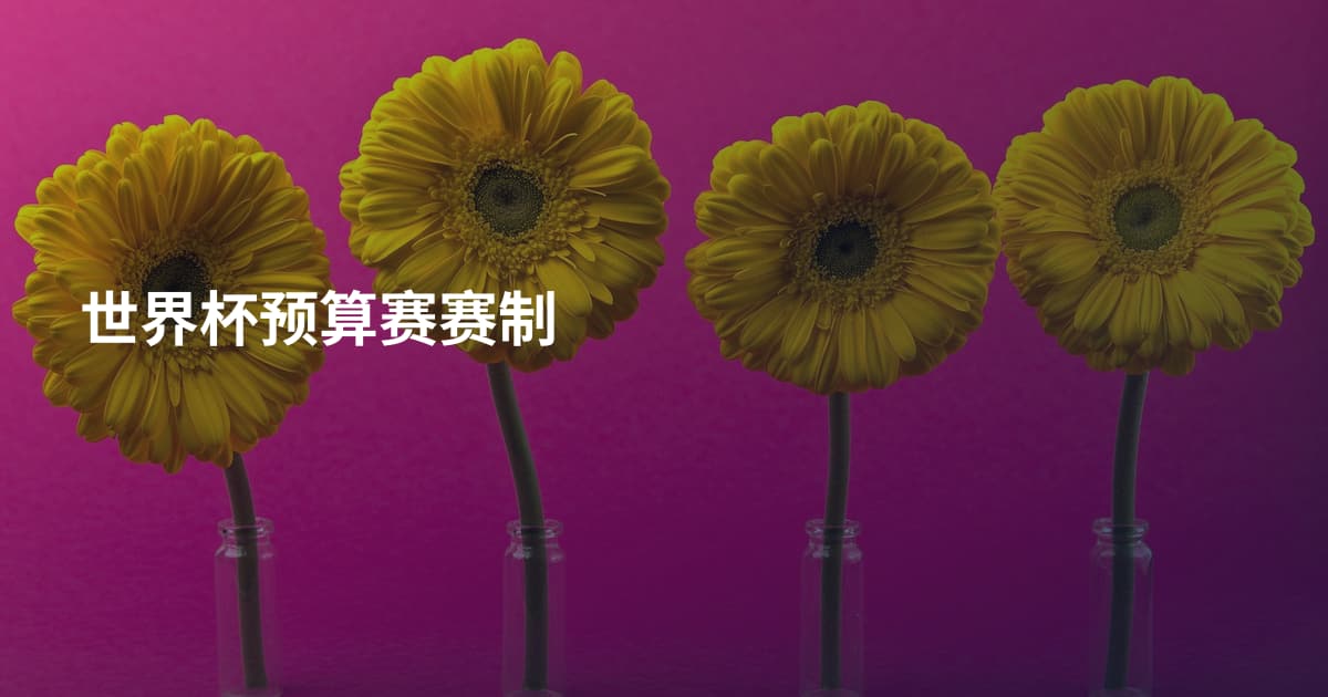 世界杯预算赛赛制