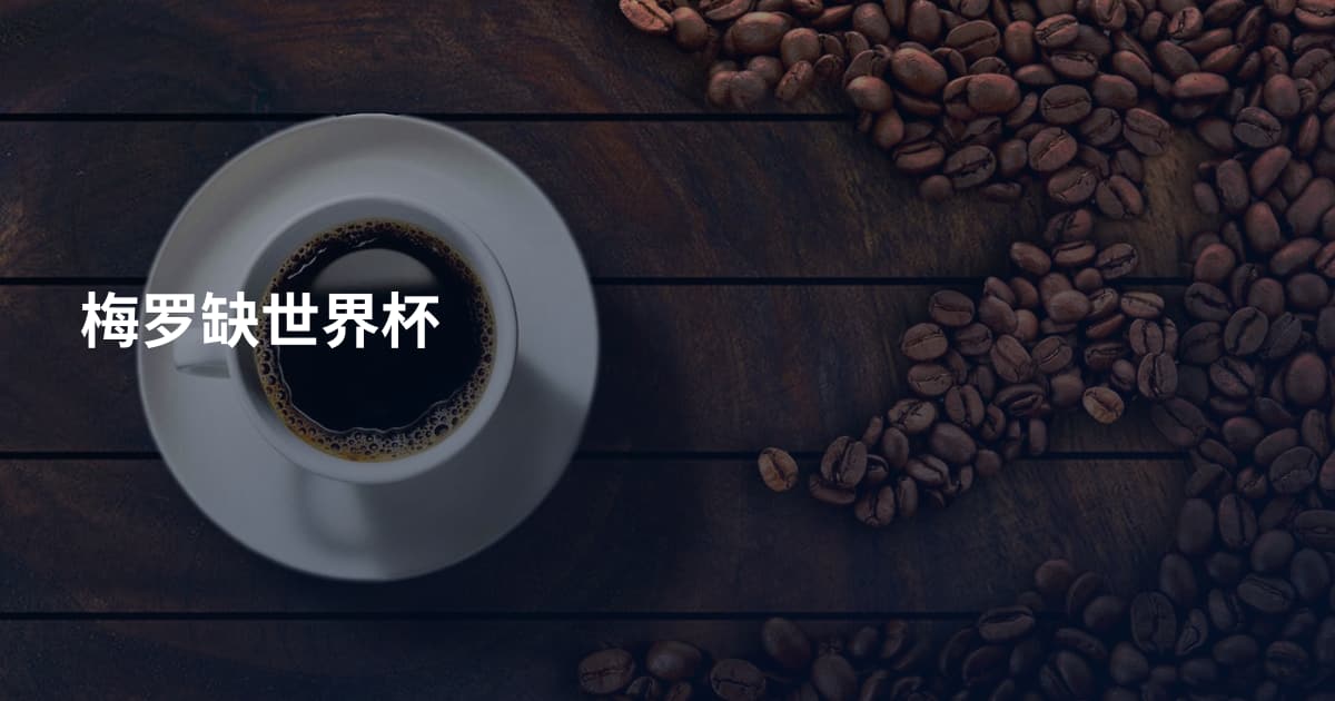 梅罗缺世界杯